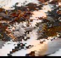 Red Hot Chilli Pepper Spice Blending Class - Accommodation Mooloolaba