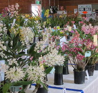 Sapphire Coast Orchid Club Spring Orchid Show - Accommodation Mooloolaba