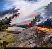 The Bellarine Railway Santa Train Specials - Accommodation Mooloolaba