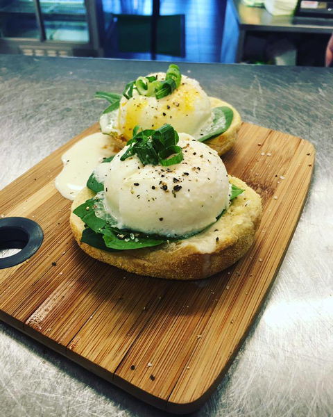 Bermagui Growers Market - Accommodation Mooloolaba 4