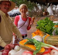 Albany Farmers Market - Accommodation Mooloolaba