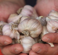 Armidale Farmers' Market - Accommodation Mooloolaba
