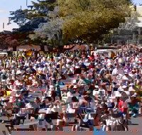 Bathurst Edgell Jog - Accommodation Mooloolaba