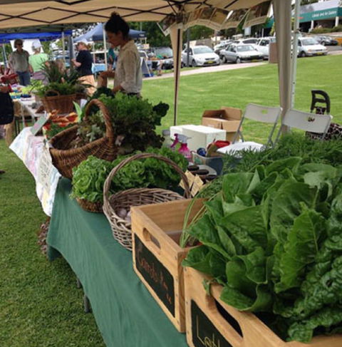 Bermagui Growers Market - Accommodation Mooloolaba 5