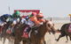 Birdsville Races - thumb 0