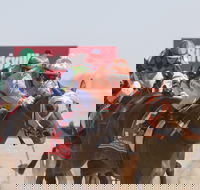 Birdsville Races - Accommodation Mooloolaba