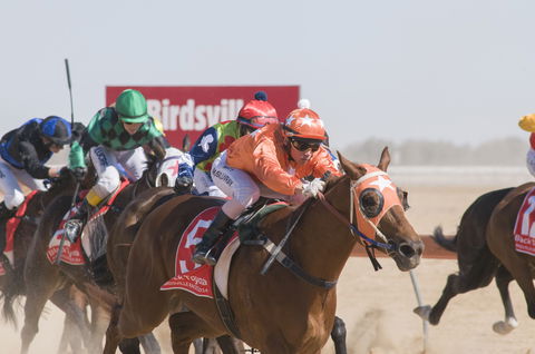 Birdsville Races - Accommodation Mooloolaba 0