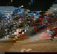 Black Opal Bull and Bronc Ride - Accommodation Mooloolaba