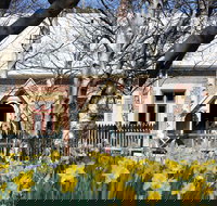 Daffodils at Rydal - Accommodation Mooloolaba