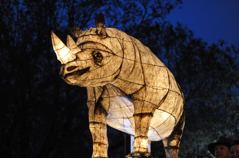 DREAM Festival: Music And Markets Event - Accommodation Mooloolaba 1