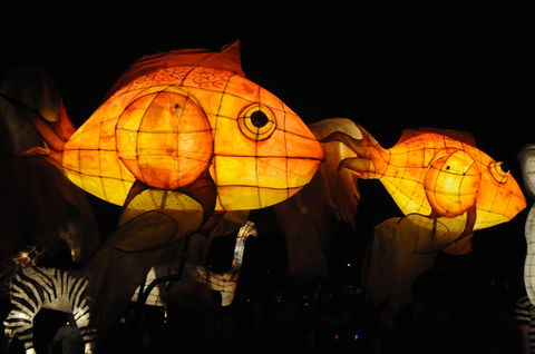 DREAM Festival: Music And Markets Event - Accommodation Mooloolaba 2