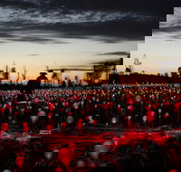 Field of Light Uluru - Accommodation Mooloolaba