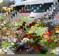 Johns River Country Markets - Accommodation Mooloolaba