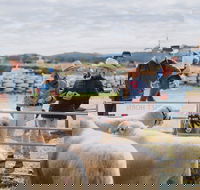 Mudgee Small Farm Field Days - Accommodation Mooloolaba