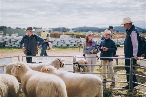 Mudgee Small Farm Field Days - Accommodation Mooloolaba 0