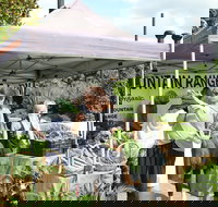 Nan Tien Health and Wellbeing Market - Accommodation Mooloolaba