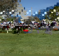 Sakura Matsuri  - Cherry Blossom Festival - in doubt due to Covid-19 - Accommodation Mooloolaba