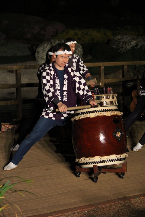 Sakura Matsuri  - Cherry Blossom Festival - In Doubt Due To Covid-19 - Accommodation Mooloolaba 1