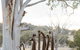 Sculptures In The Garden - thumb 0