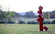 Sculptures In The Garden - thumb 1
