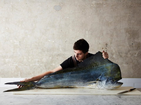 National Photographic Portrait Prize - Accommodation Mooloolaba 0