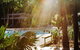 Angourie Resort - thumb 1