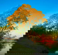 Cadell on the Murray Motel Resort - Accommodation Mooloolaba