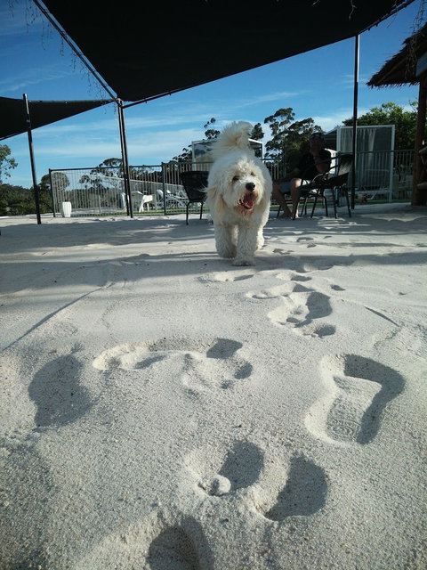 Clare Valley Motel - Accommodation Mooloolaba 5