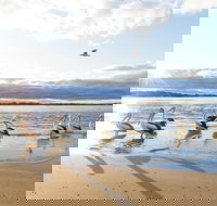 El Paso Motor Inn - Accommodation Mooloolaba