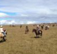 Susan River Homestead - Accommodation Mooloolaba