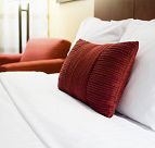 Fig Tree Restaurant  Rooms - Accommodation Mooloolaba