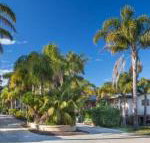 Mollymook Caravan Park - Accommodation Mooloolaba