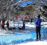 Cloud 9 Alpine Lodge - Accommodation Mooloolaba