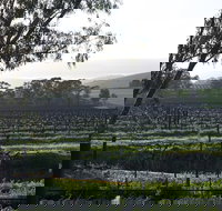 Jasmine's Cottage - Accommodation Mooloolaba