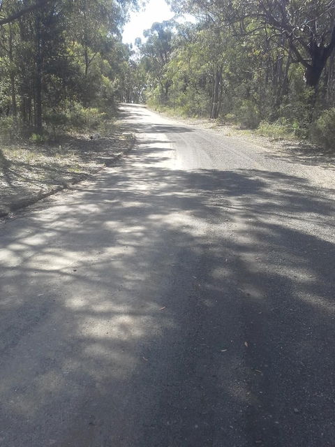 Sunsetcottages - Accommodation Mooloolaba 5