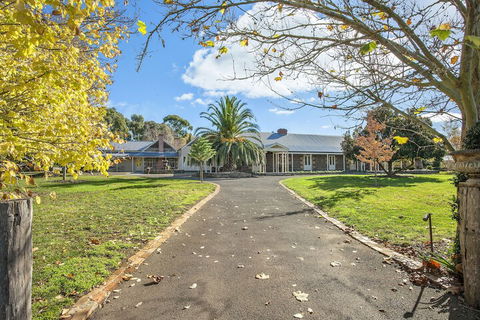 Orchards At Spring Vale Farm - Accommodation Mooloolaba 2
