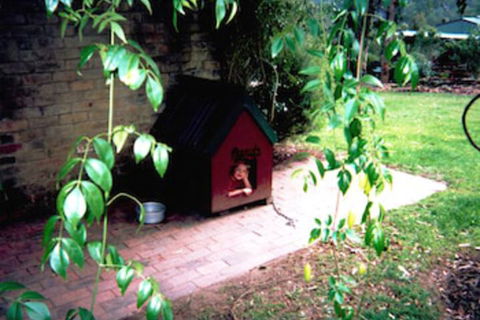 Kurrajong Trails And Cottages - Accommodation Mooloolaba 1