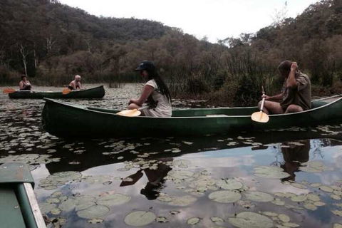 Kurrajong Trails And Cottages - Accommodation Mooloolaba 3