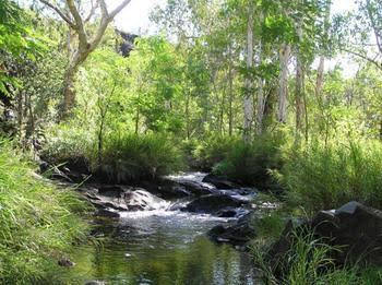 Mt Hart Homestead - Accommodation Mooloolaba 4