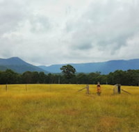 Maya Sanctuary - Accommodation Mooloolaba