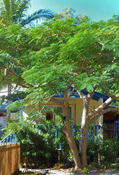 Ewingsdale NSW Accommodation Mooloolaba
