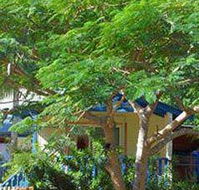 Amber Gardens Guesthouse - Accommodation Mooloolaba