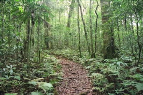 Goomburra Forest Retreat - Accommodation Mooloolaba 5