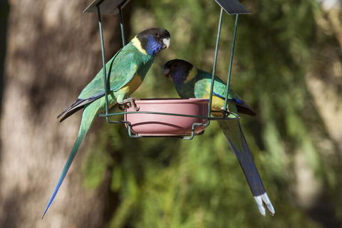 Kathys Place Bed And Breakfast - Accommodation Mooloolaba 2