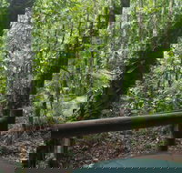 Daintree Crocodylus - Accommodation Mooloolaba