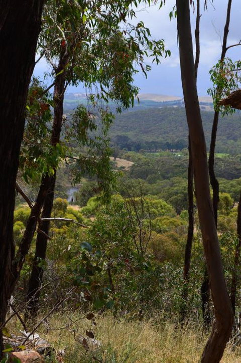 Trestrail Cottage B & B - Accommodation Mooloolaba 3