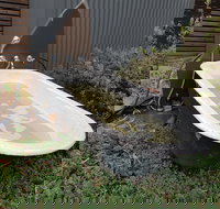 William Hunts Retreat Cypress Studio - Accommodation Mooloolaba