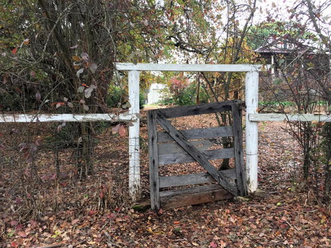 Historic Oak Hill House Estate Truffle Gourmet Festival Region - Accommodation Mooloolaba 2