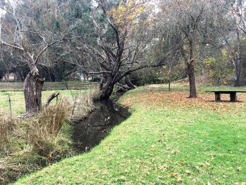 Historic Oak Hill House Estate Truffle Gourmet Festival Region - Accommodation Mooloolaba 1