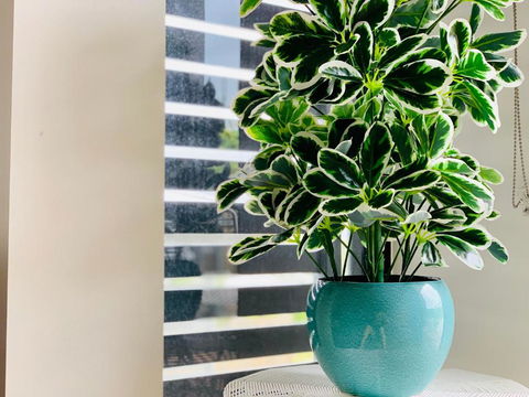 WHITSUNDAY Brand New Townhouse Close To Boardwalk - Accommodation Mooloolaba 4